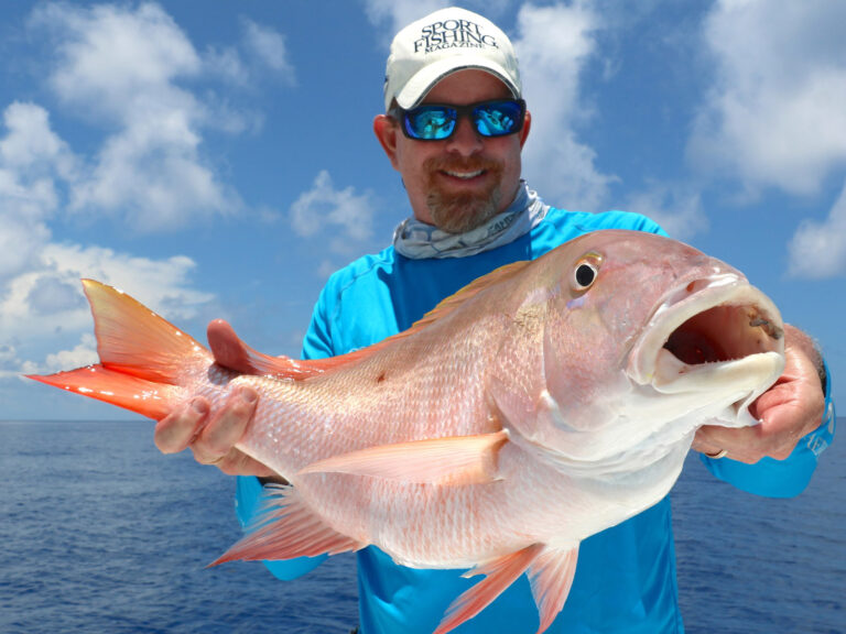 Mutton snapper