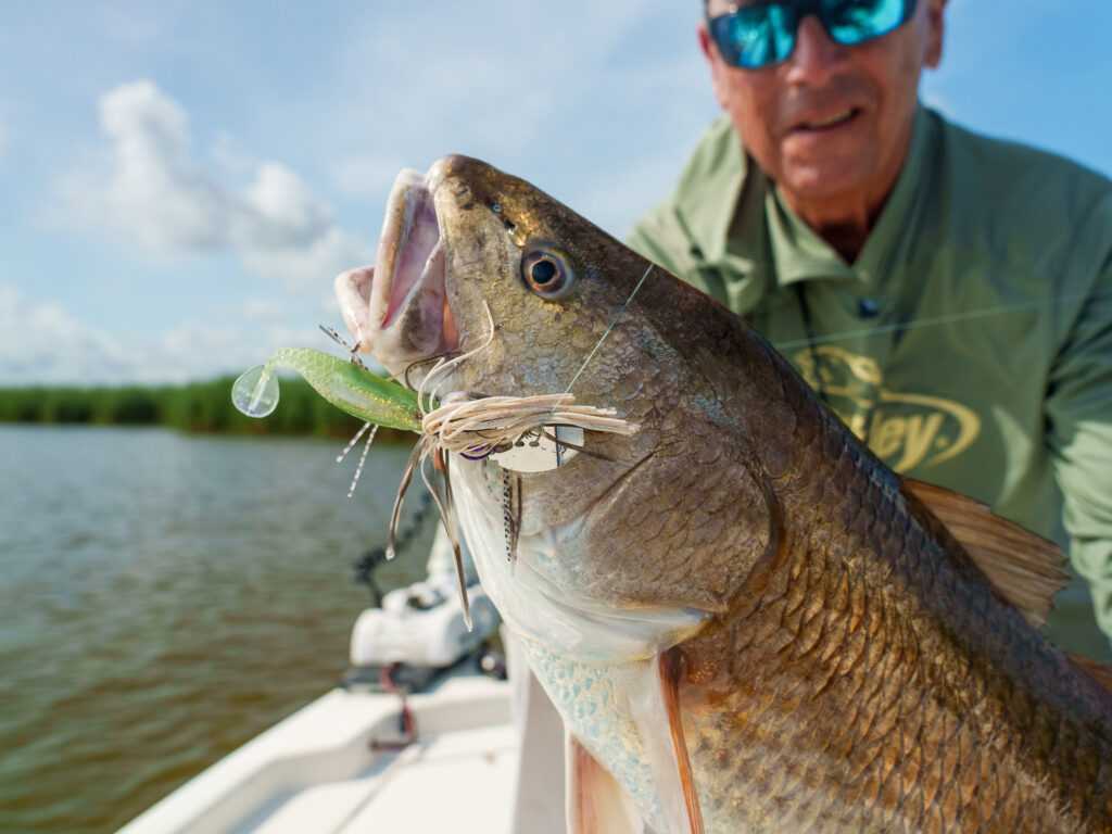 redfish caught on a Berkley Slobberknocker redfish lure.