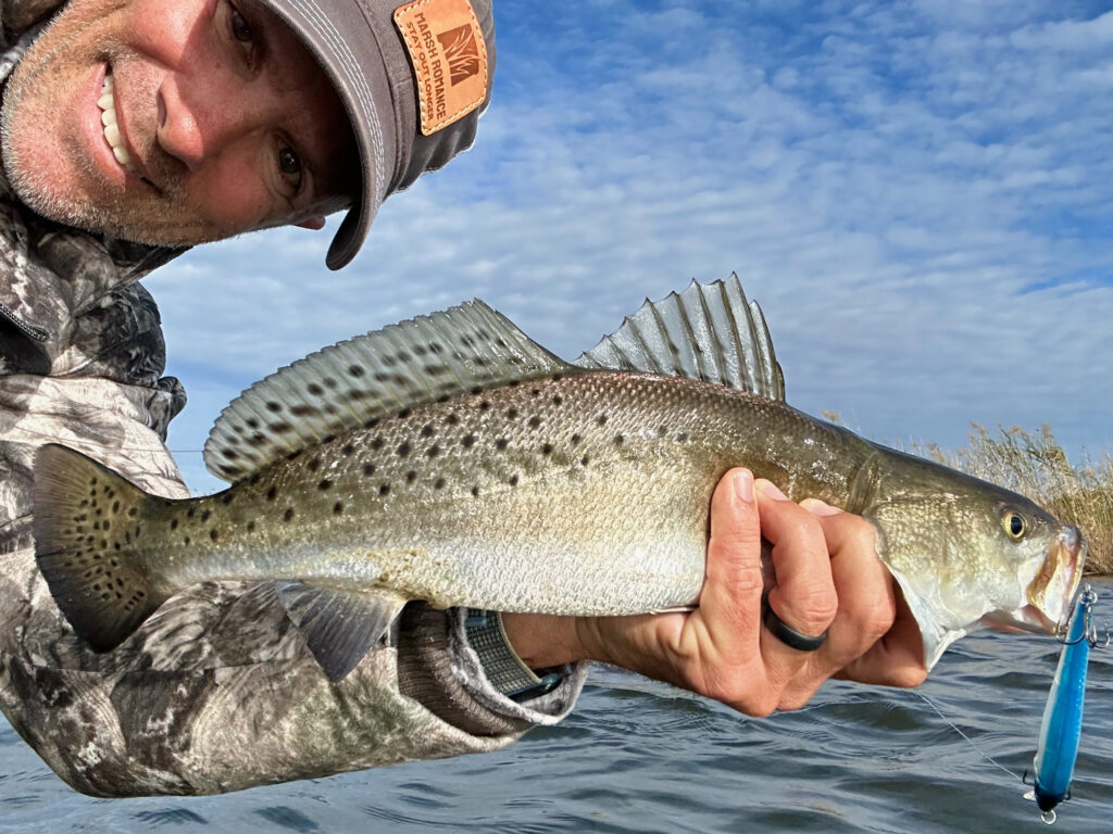 Louisiana speckled trout in the Mississippi River