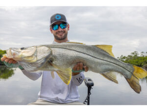 Snook fish