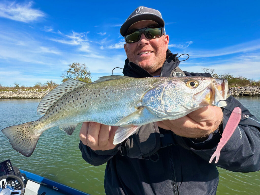Mississippi River seatrout