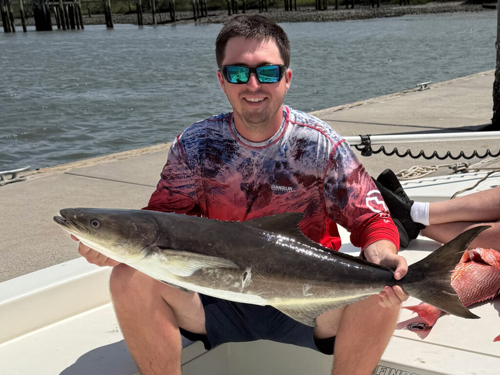 cobia caught drift fishing