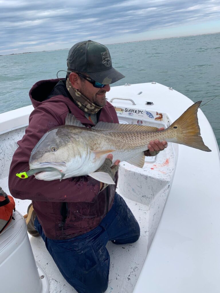 bull red drum