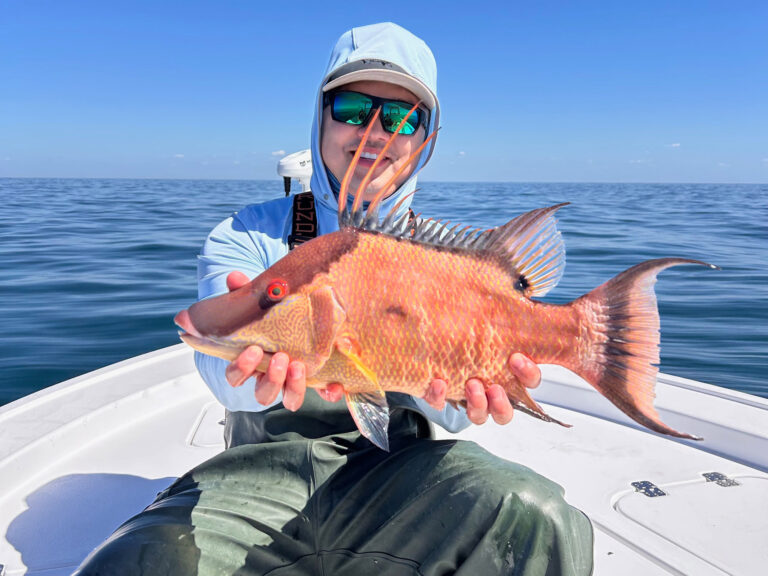 Hogfish fishing