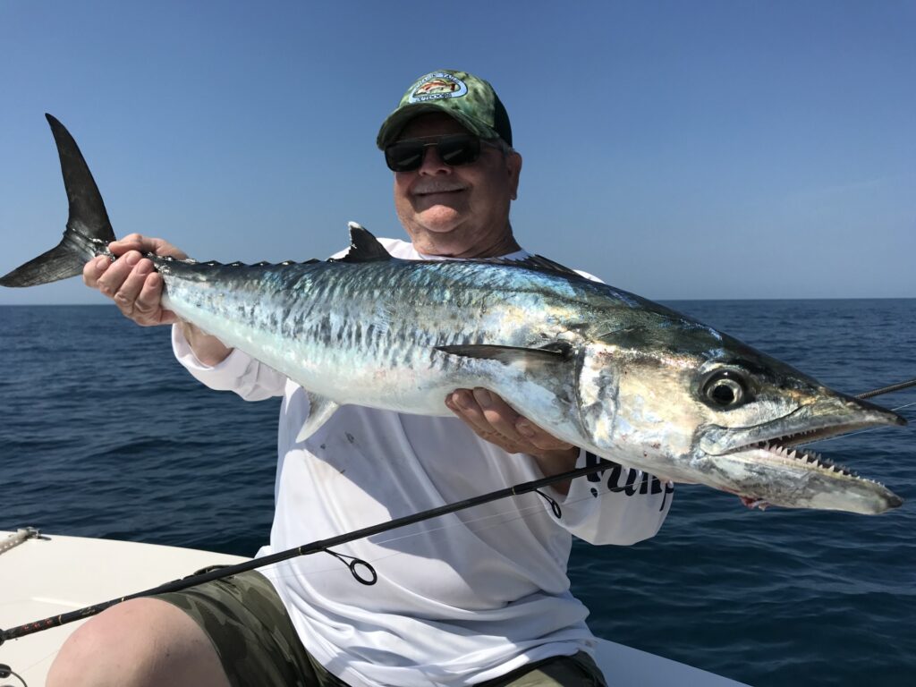 king mackerel