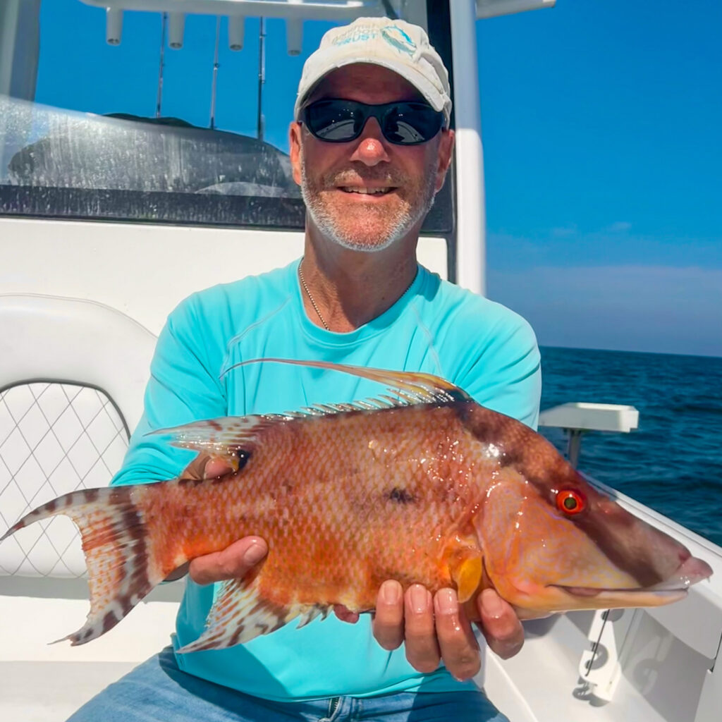 Male hogfish