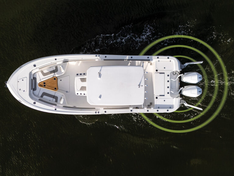 Caymas security system