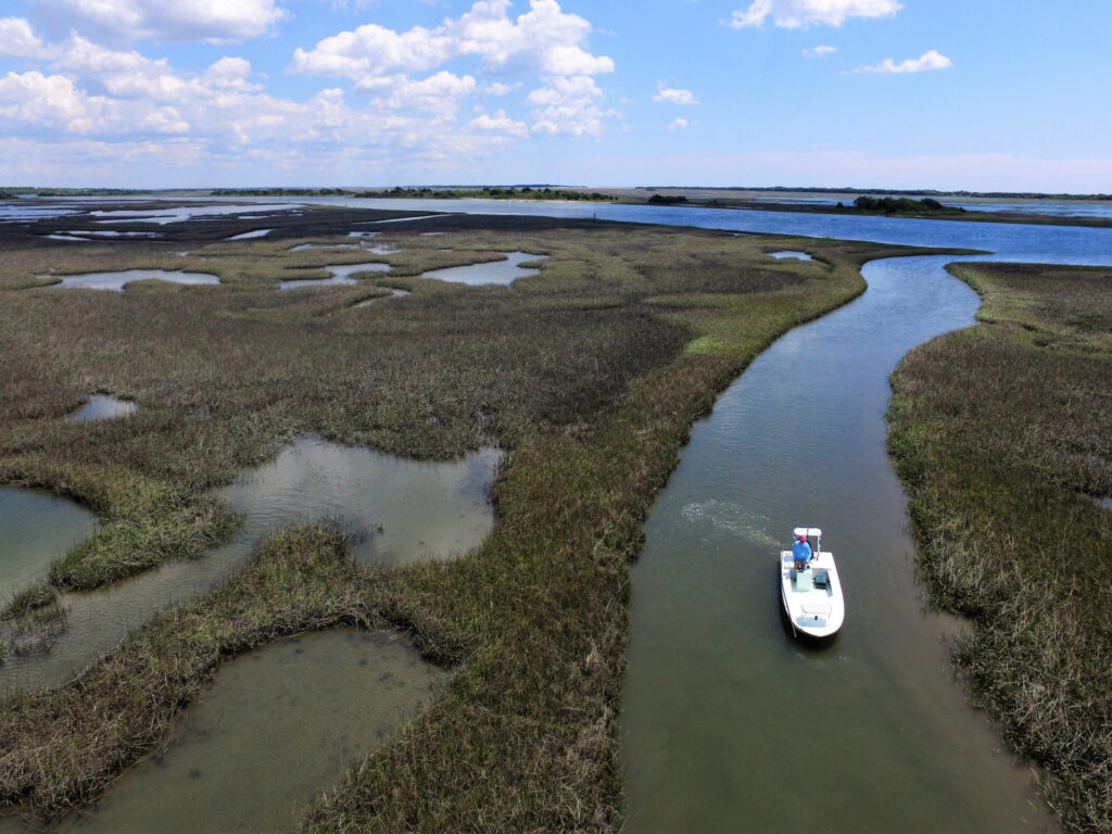 Winter in the North Carolina marsh.
