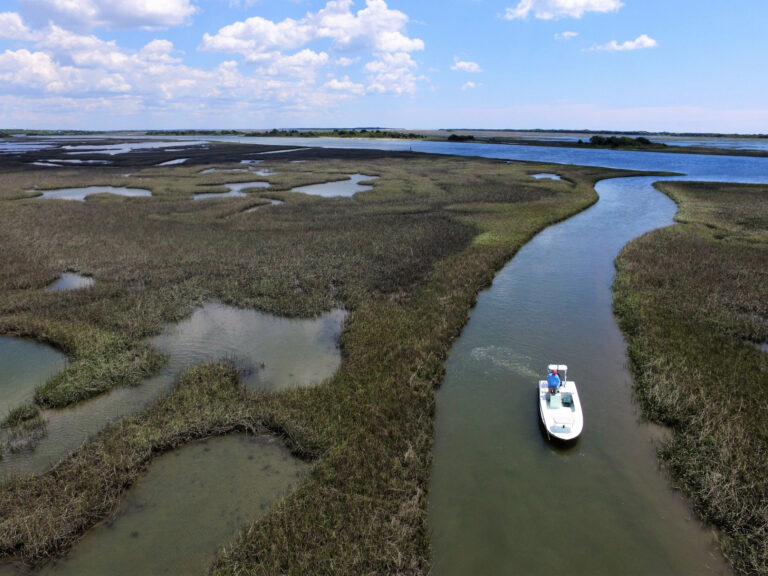 Winter in the North Carolina marsh.