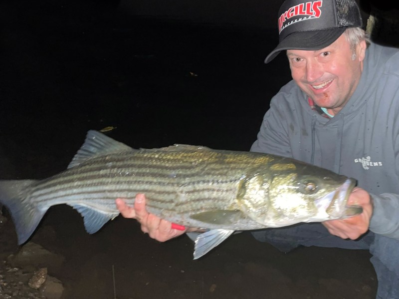 New Jersey striped bass