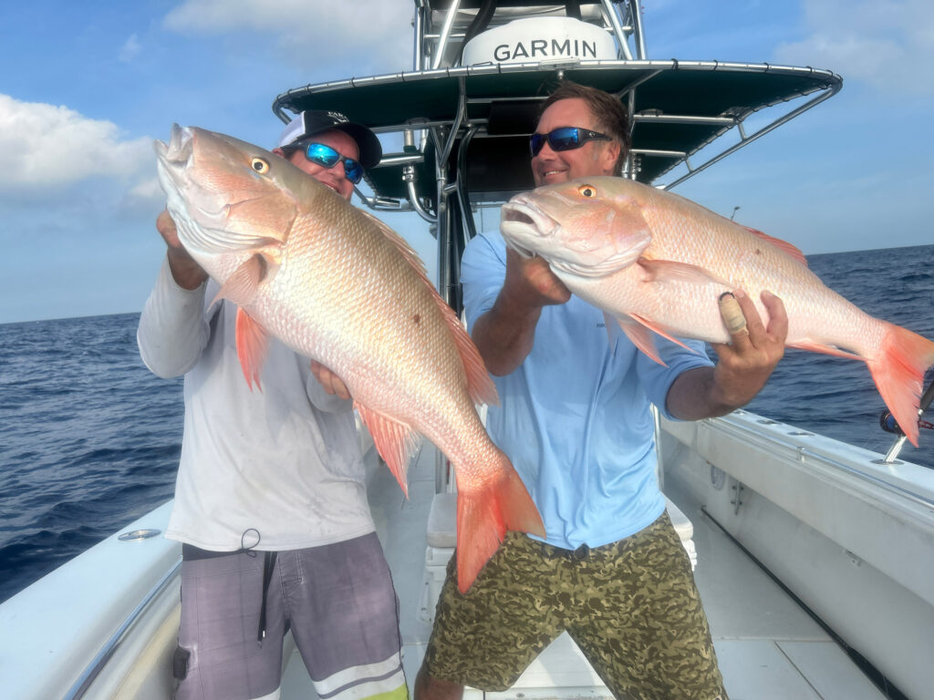 Mutton snapper in the Florida Keys