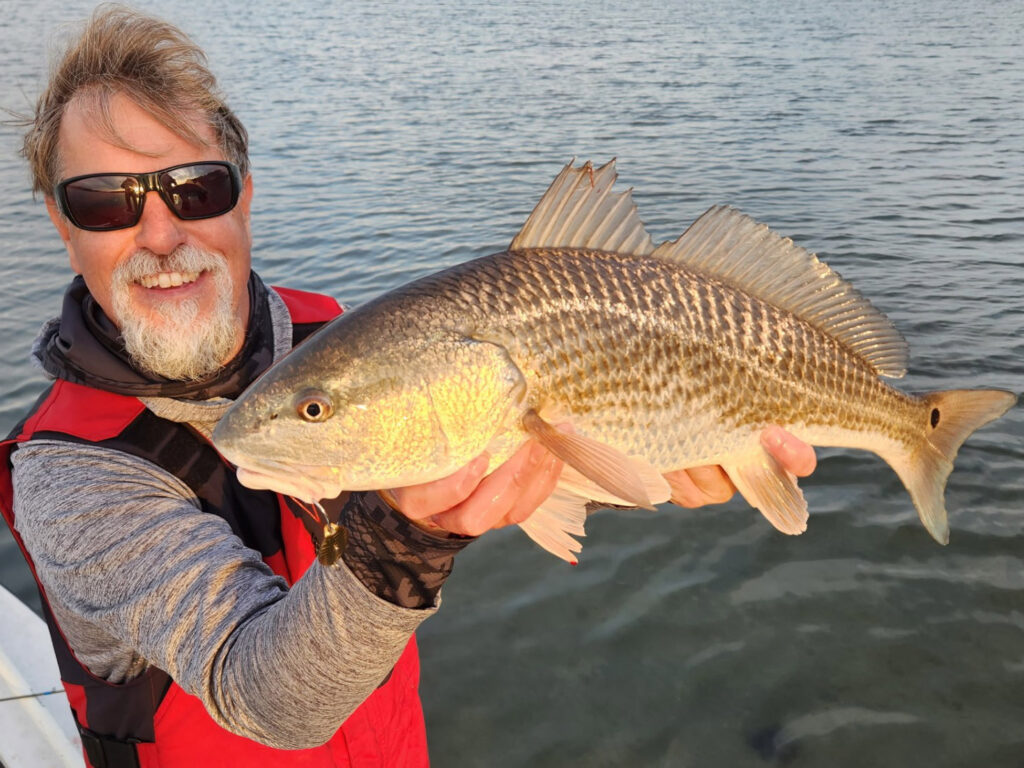 Winter redfish North Carolina
