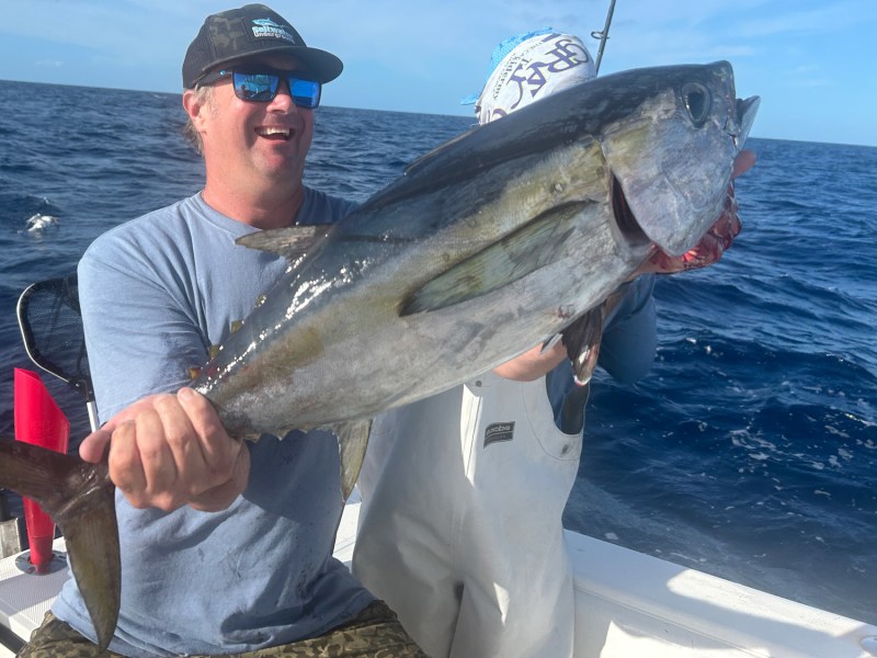 Blackfin tuna