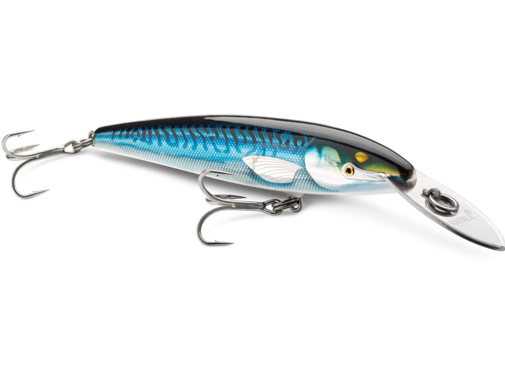 Rapala CountDown Magnum Elite saltwater fishing lure