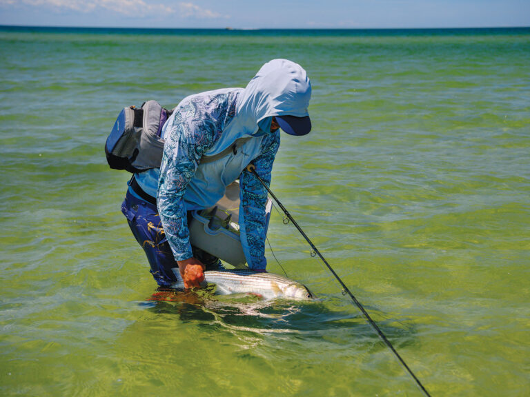 Striped bass off Cape Cod