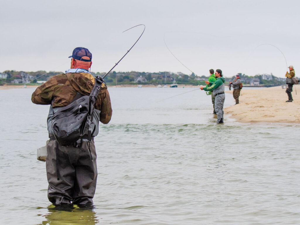 Fishing from the beach in Cape Cod