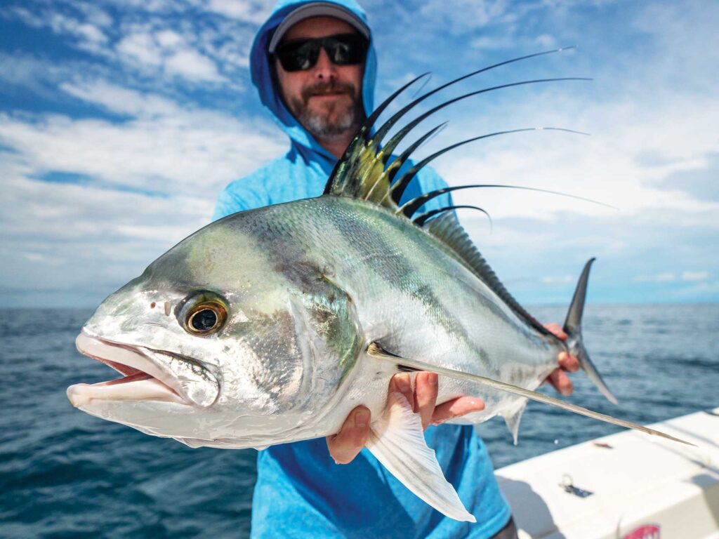 Roosterfish in Costa Rica