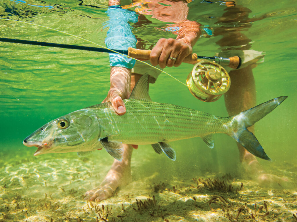 Bonefish in the Keys