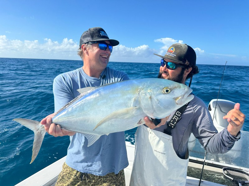 yellow jack fish.