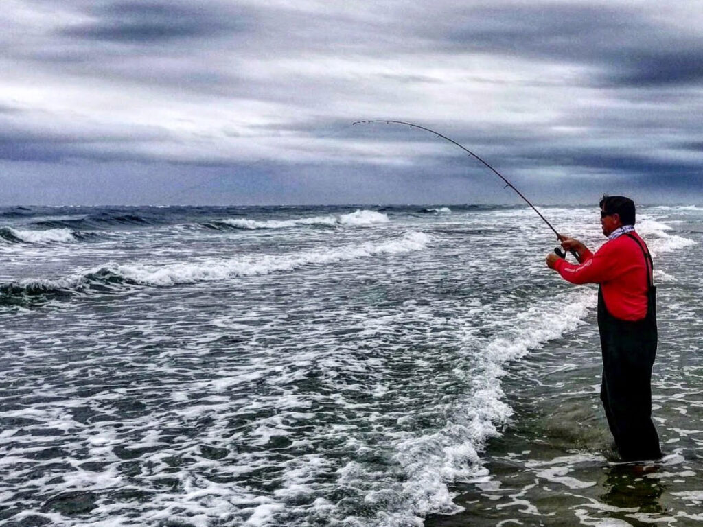 Surf Fishing