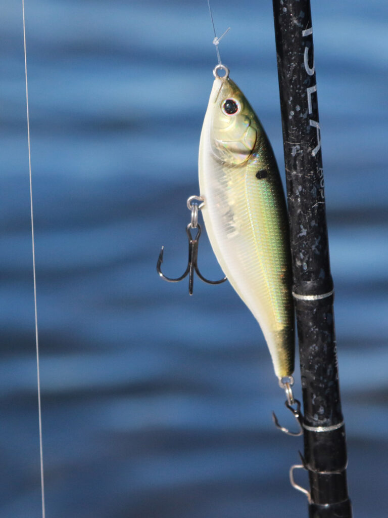 Berkley Stick Shadd Saltwater seatrout lure.