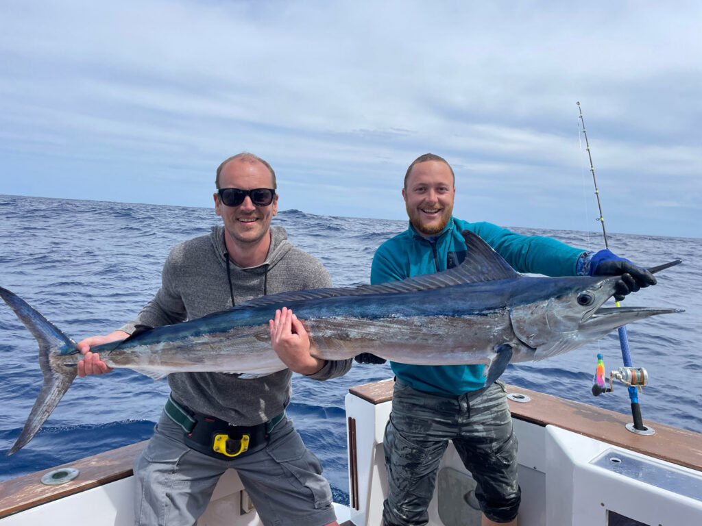 Mediterranean spearfish