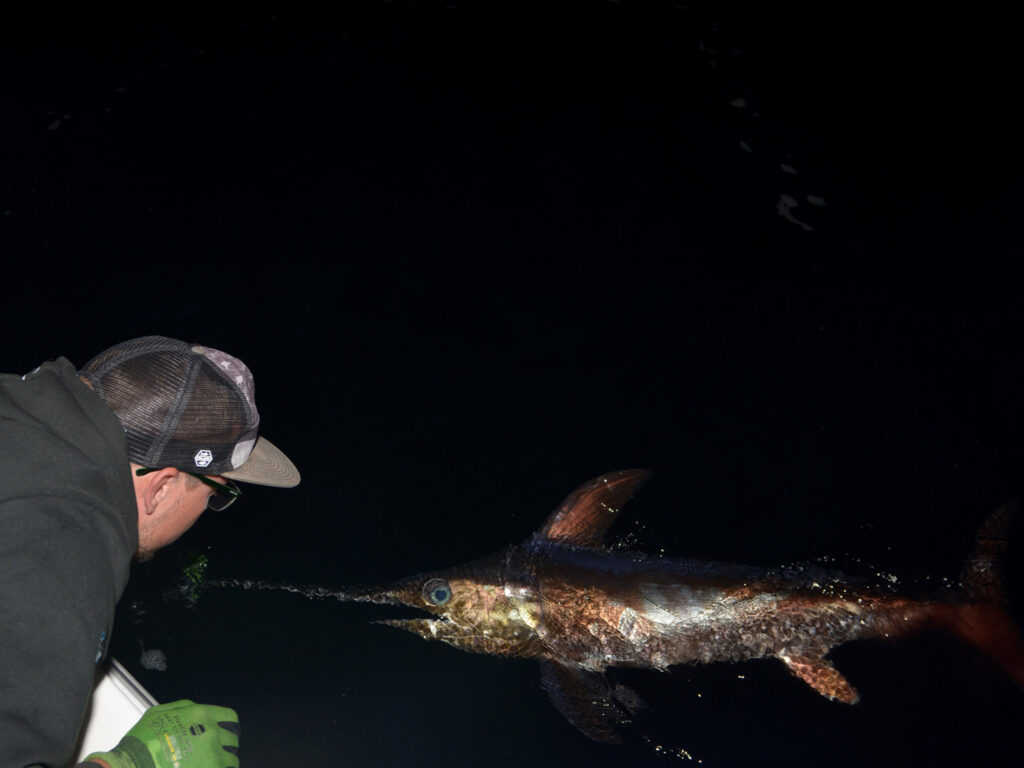 Nighttime swordfish