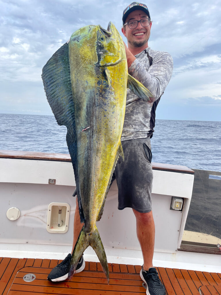 Mediterranean dolphinfish (mahi-mahi)