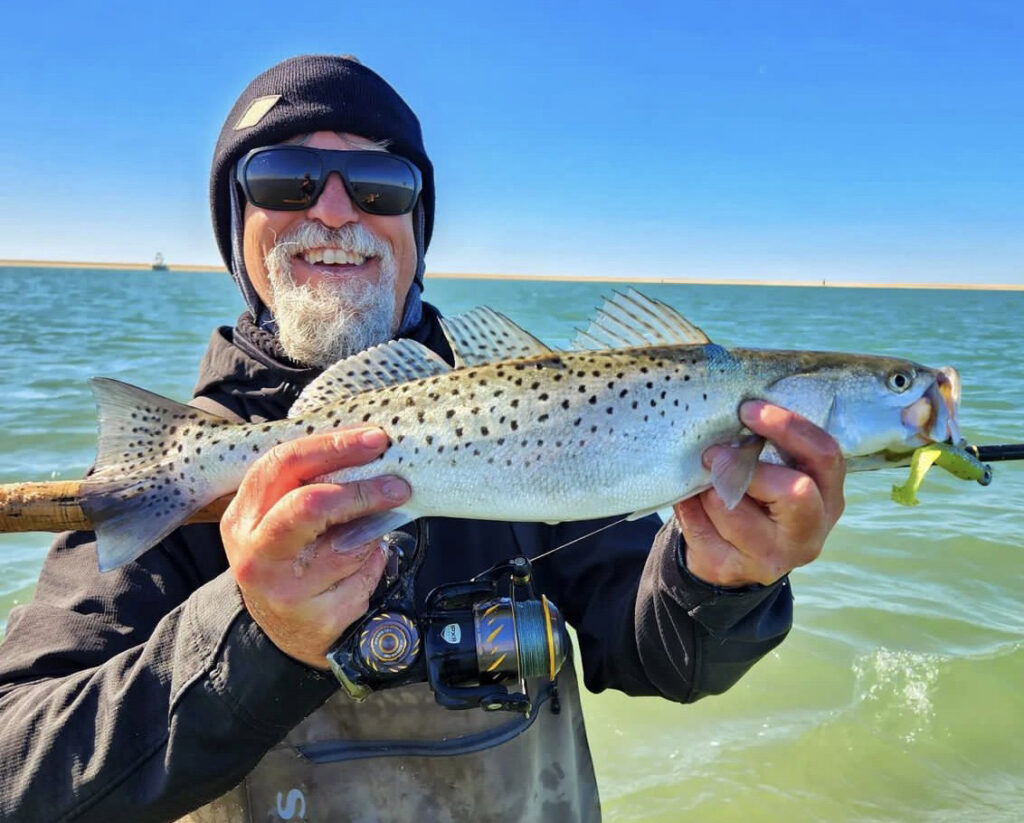 speckled trout