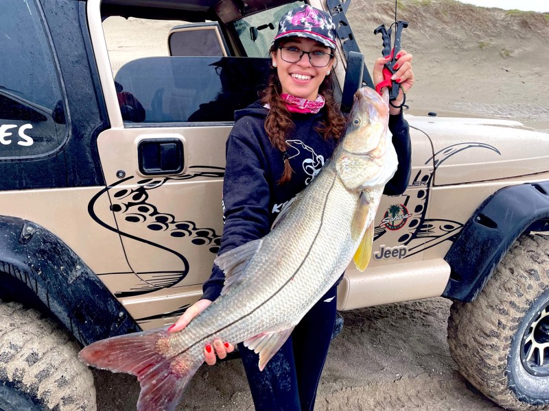 Snook fish
