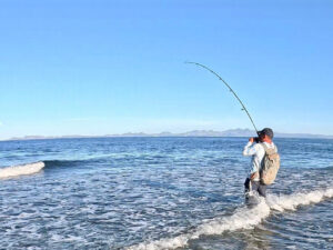 Surf fishing Baja California Sur.