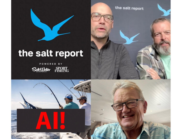 The Salt Report