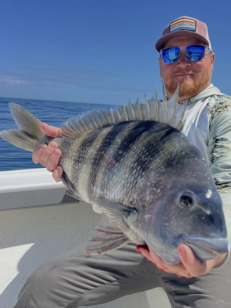Sheepshead