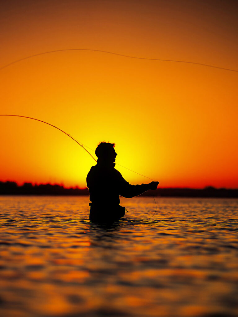 Fly fishing for striped bass