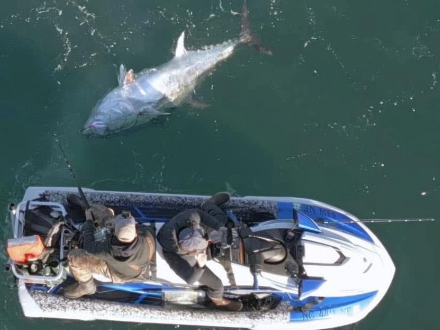 Bluefin tuna caught from a PWC