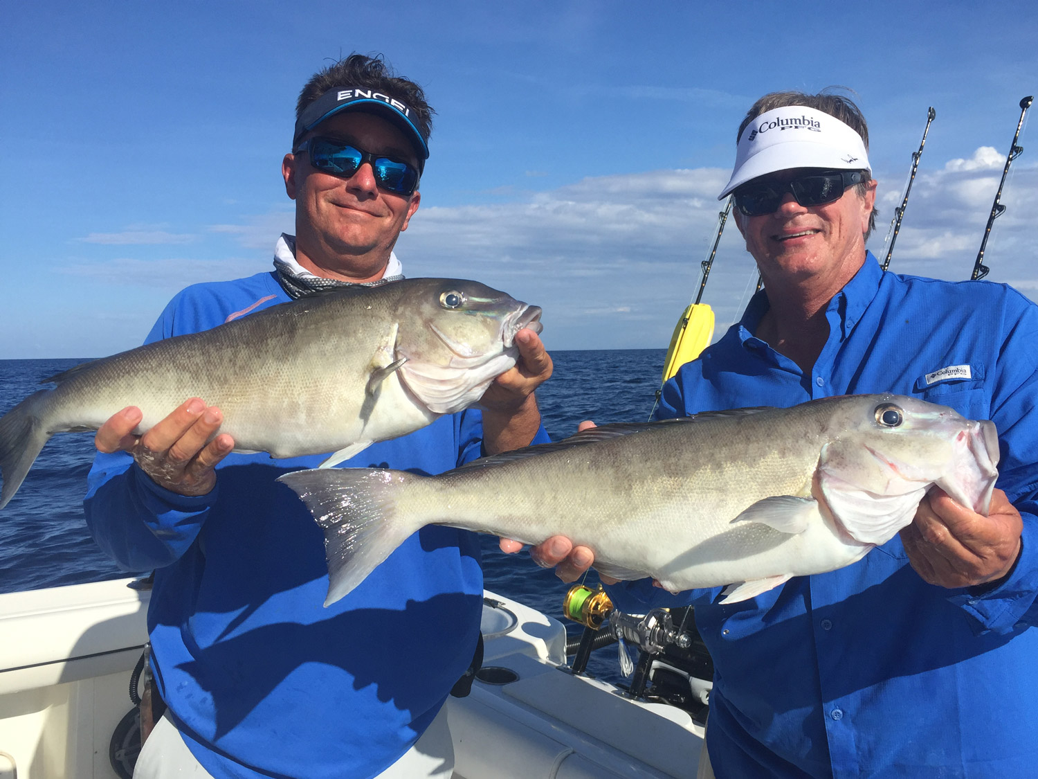 Blueline tilefish