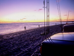 Surfcaster trucks on Nantucket