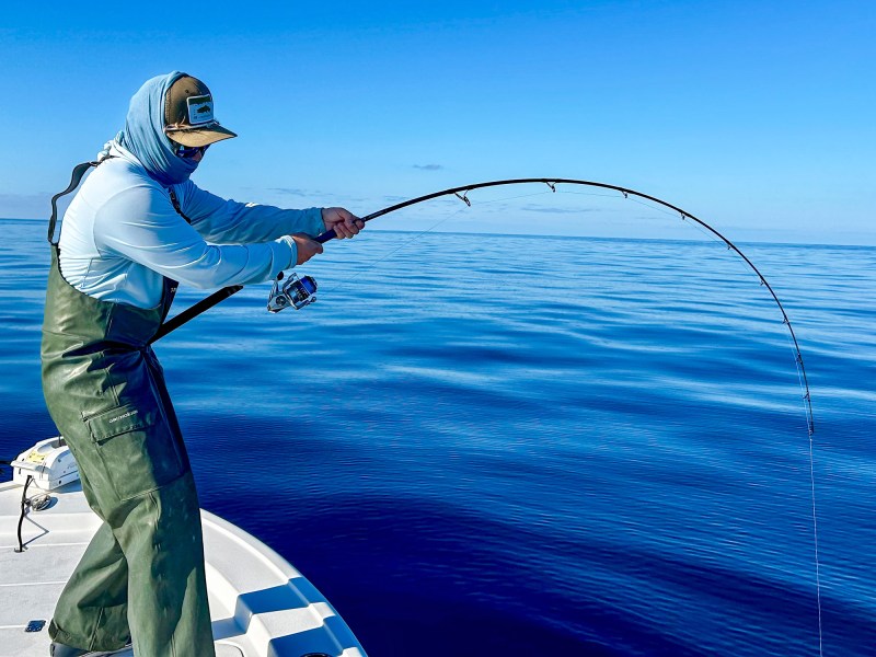 Fishing for Gulf amberjack
