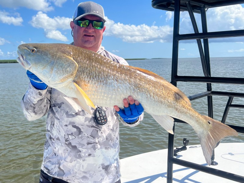 Alabama redfish