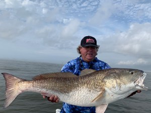 Bull Redfish