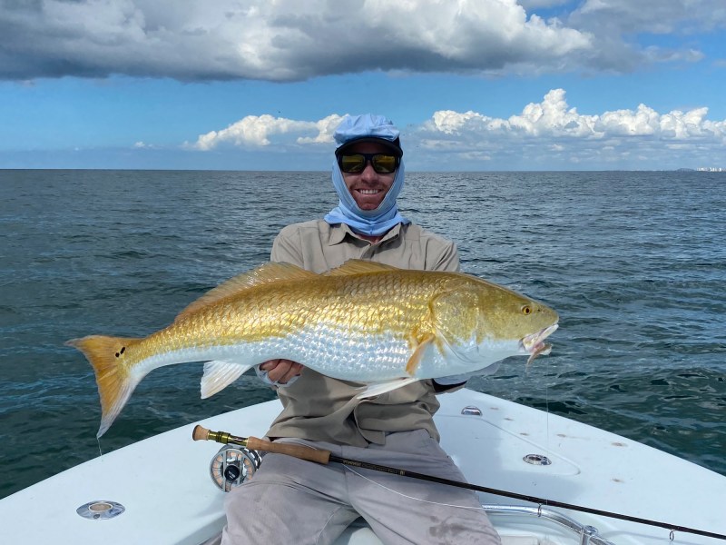Bull redfish caught on a fly