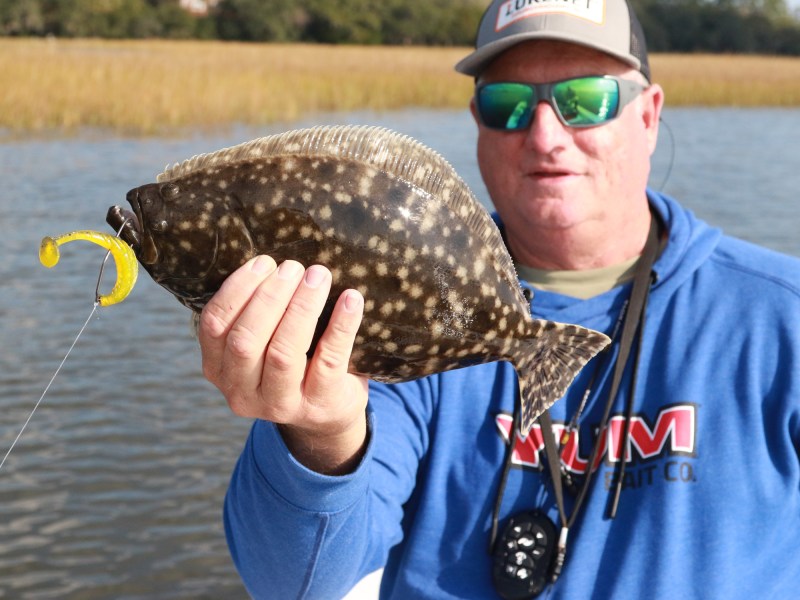 flounder