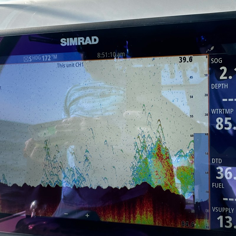 sonar image