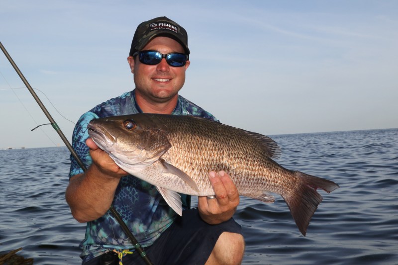 Big mangrove snapper