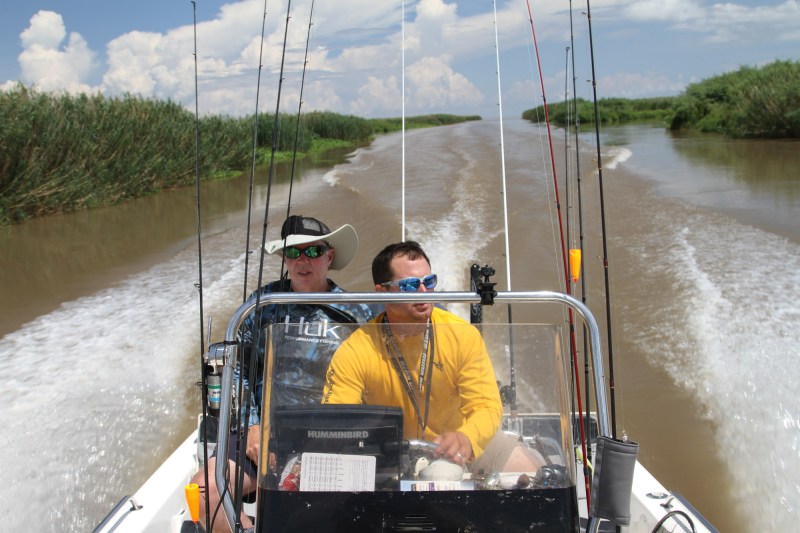 boat running in a salt marsh.
