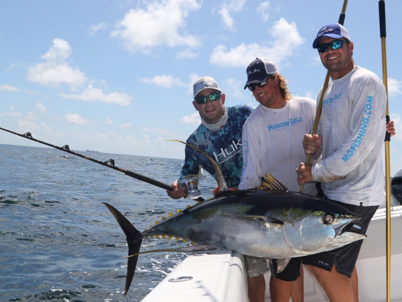 Gulf rig tuna