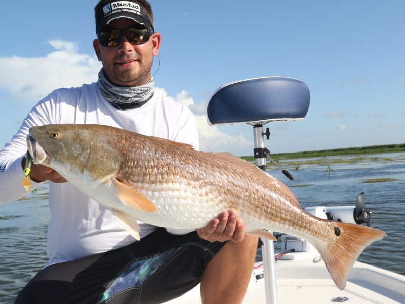 Redfish caught on a paddletail