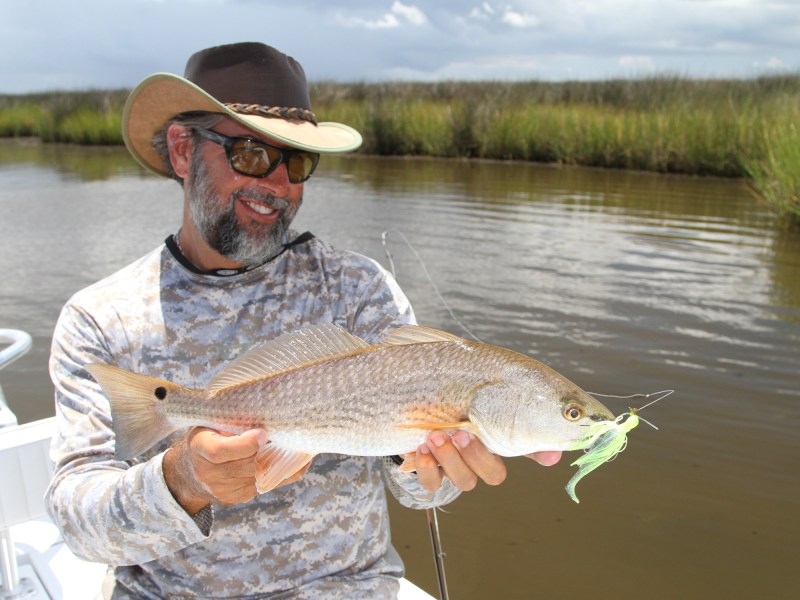 Redfish caught on a lure