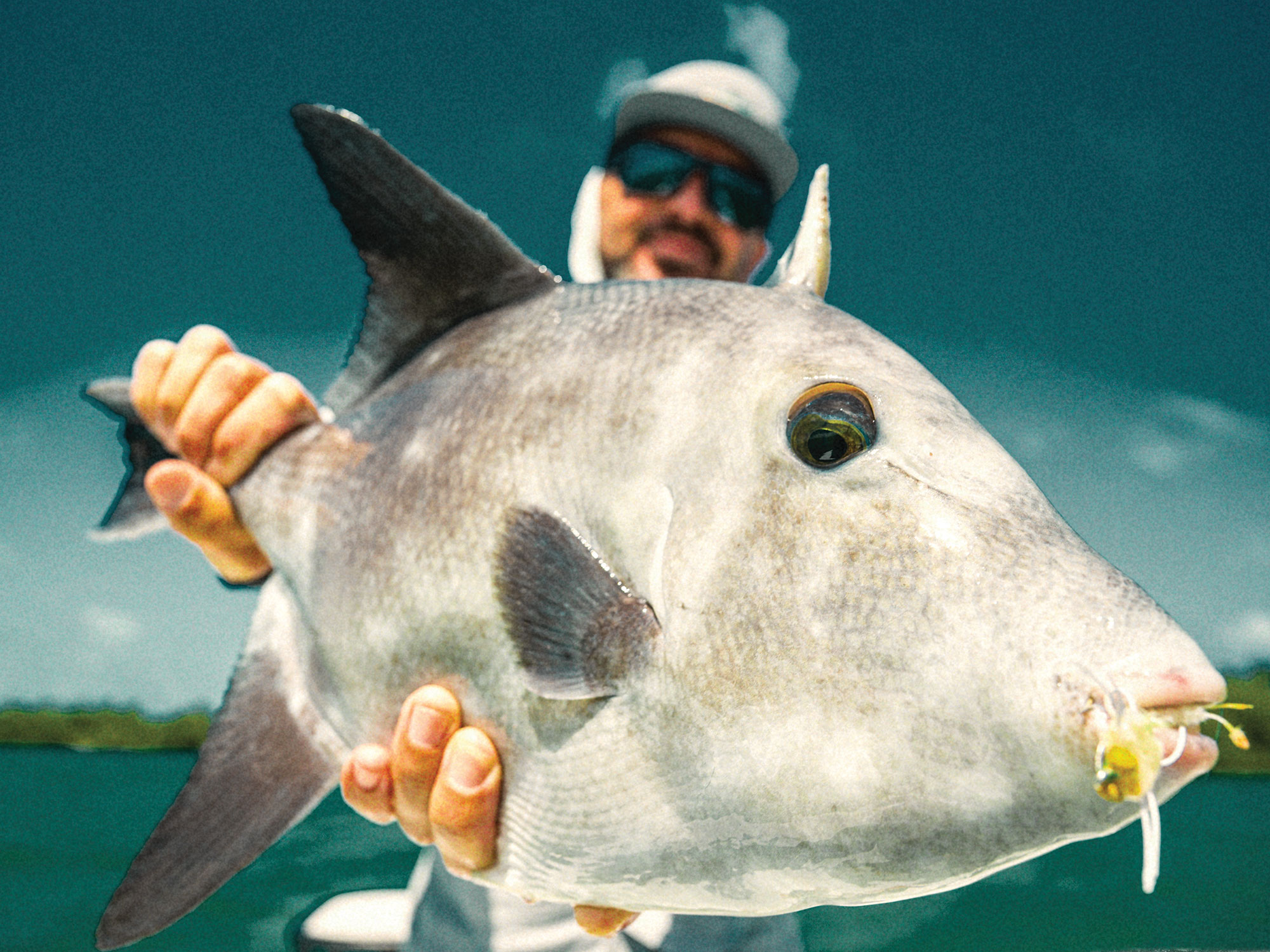 Triggerfish caught on the flats