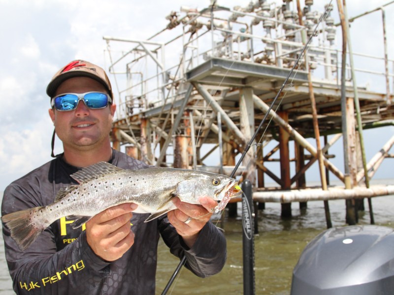 Gulf rig seatrout